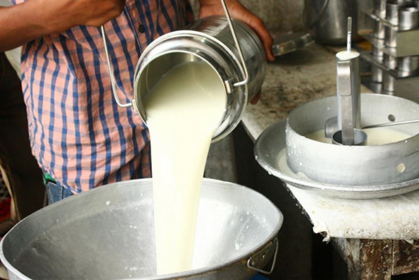 दूधको उचित मूल्य नपाउँदा किसान मारमा, भन्छन्– खेर फाल्नुभन्दा सस्तोमा बिक्री गर्नु उचित