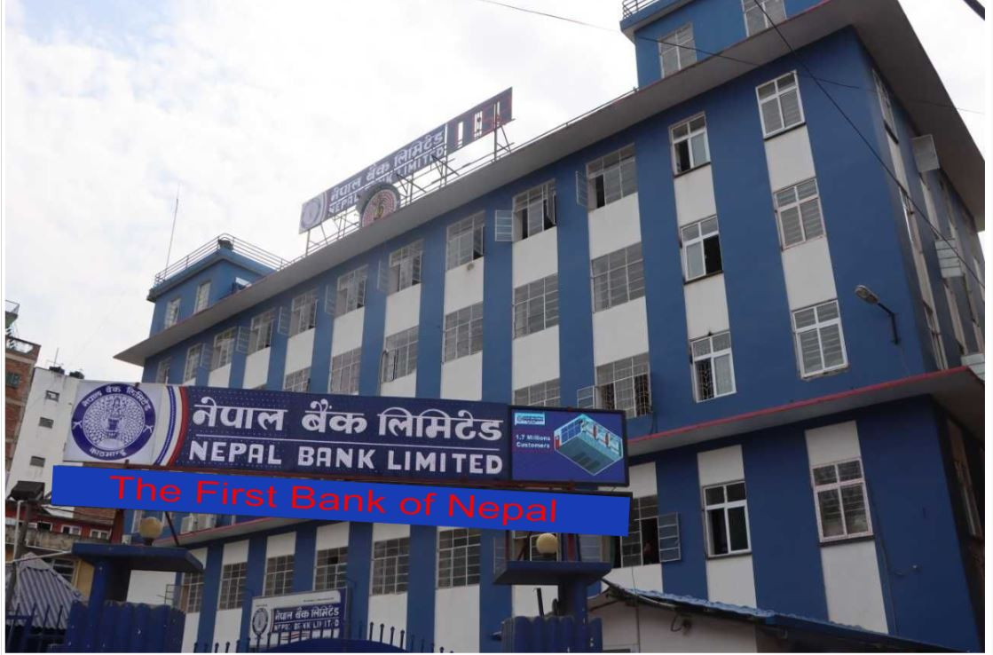 नेपाल बैंकको नाफा तीन महिनामा ६० करोड ४० लाख रुपैयाँले घट्यो, प्रतिशेयर आम्दानी कति ?