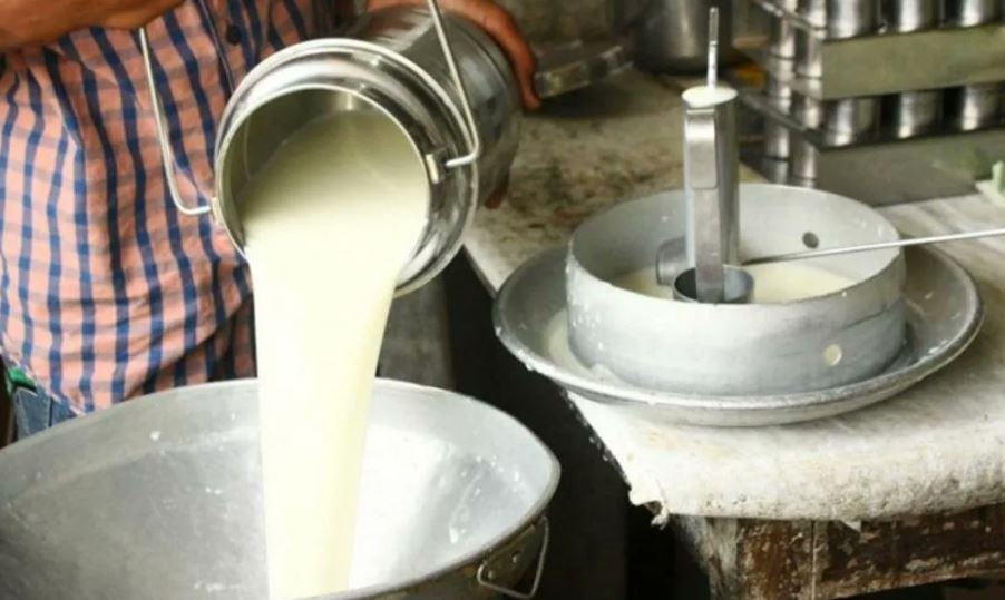 दूध बिक्री नभएपछि गोरखाका किसान चिन्तित, भन्छन्– बजारमा अन्य जिल्लाबाट आयात हुदा खेर फाल्नु पर्यो
