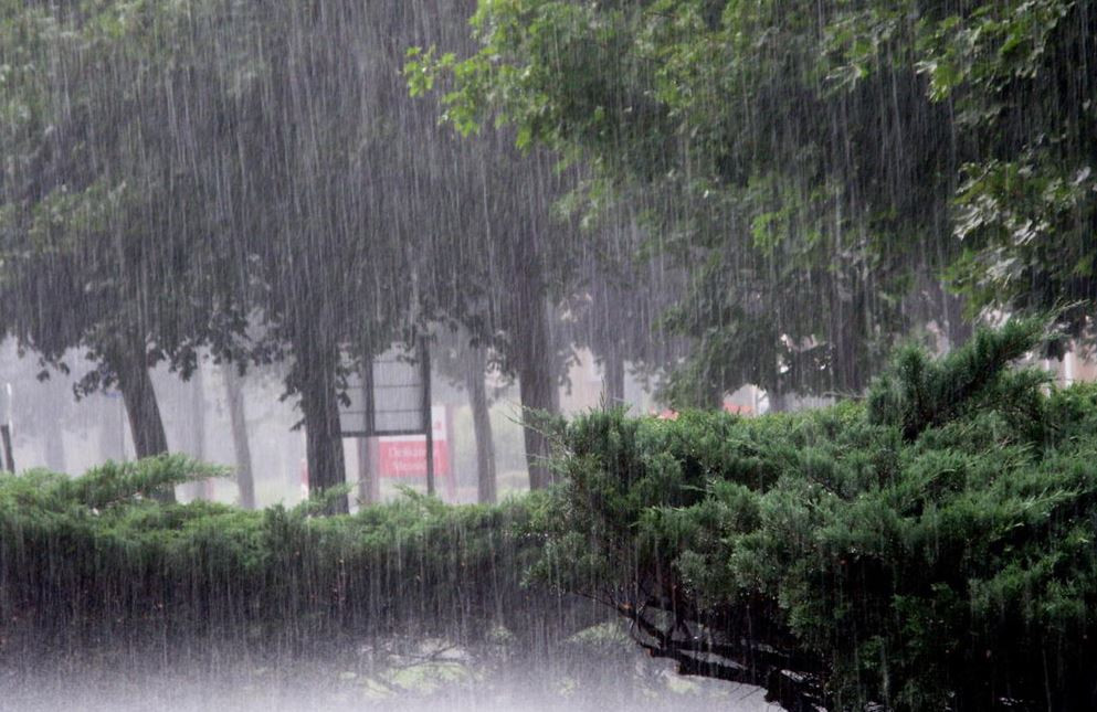 Rainfall predicted in Koshi, Bagmati, Gandaki and Lumbini provinces