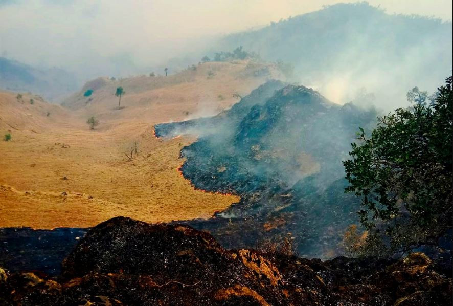 Forest fire destroys 4,500 hectares of forest area in Ramechhap